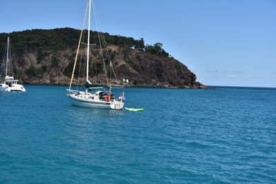 DSC_5886.JPG