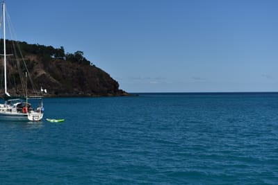 DSC_5887.JPG