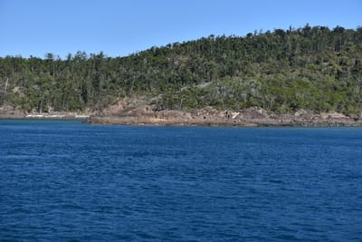 DSC_6005.JPG