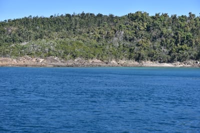 DSC_6006.JPG