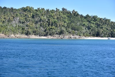 DSC_6007.JPG