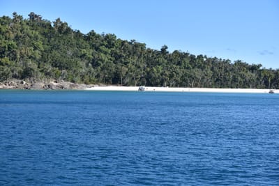 DSC_6008.JPG
