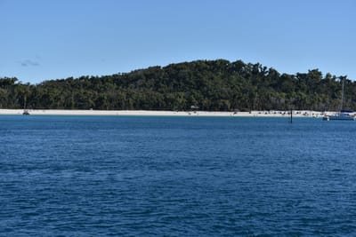 DSC_6010.JPG