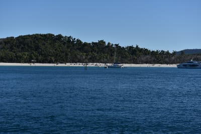 DSC_6011.JPG