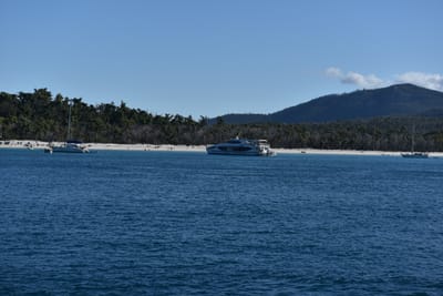 DSC_6012.JPG