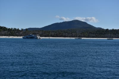 DSC_6013.JPG
