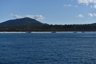 DSC_6014.JPG