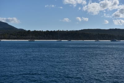 DSC_6015.JPG