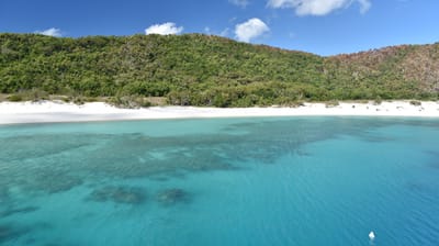 DSC_6186.JPG