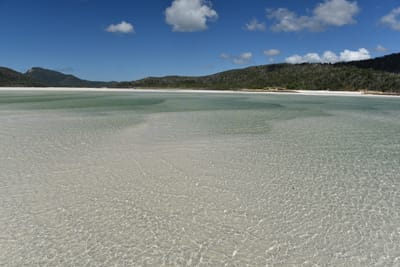 DSC_6112.JPG