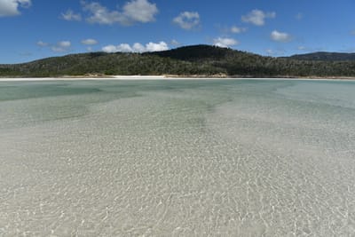 DSC_6114.JPG