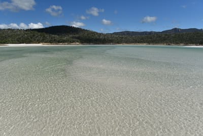 DSC_6115.JPG