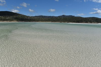 DSC_6116.JPG