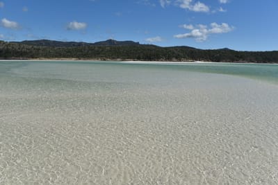 DSC_6117.JPG