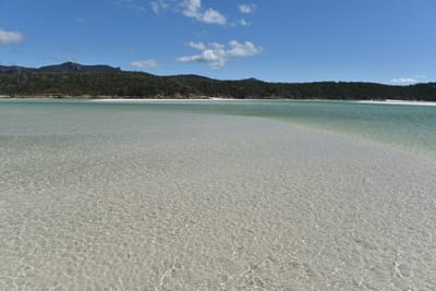 DSC_6118.JPG