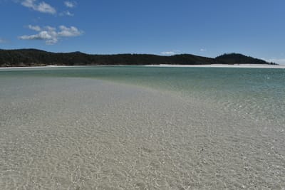 DSC_6119.JPG