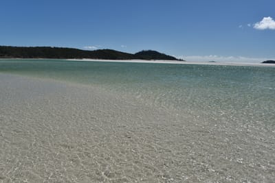 DSC_6120.JPG