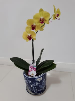 20181103_152113.jpg