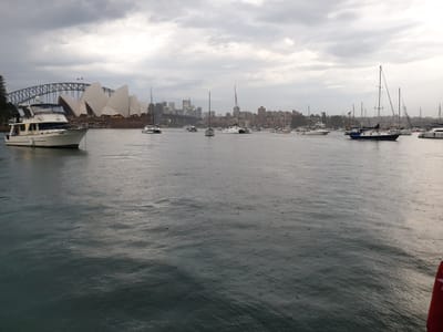 20181231_194800.jpg