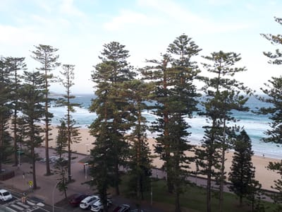 20181208_192841.jpg