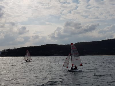 20180421_145146.jpg