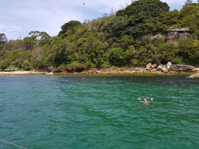 20180124_143141.jpg