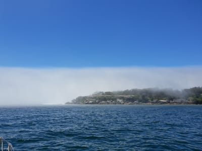 20181217_124848.jpg