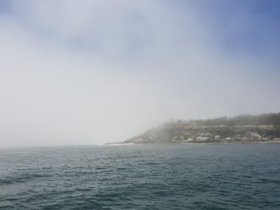 20181217_124936.jpg