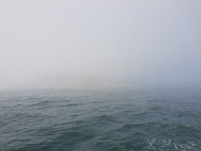 20181217_125103.jpg