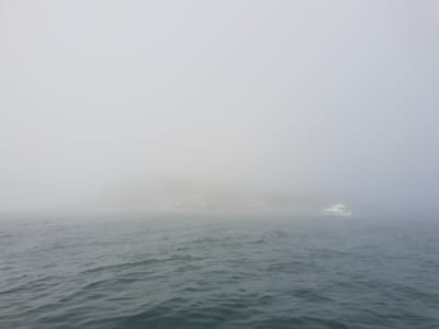 20181217_125320.jpg