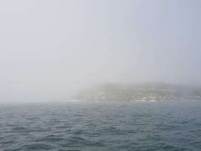 20181217_125449.jpg