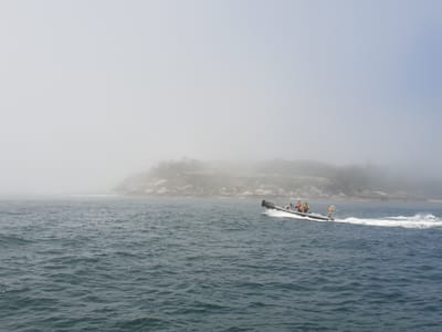 20181217_125525.jpg