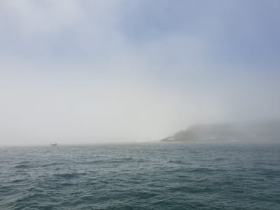 20181217_125642.jpg