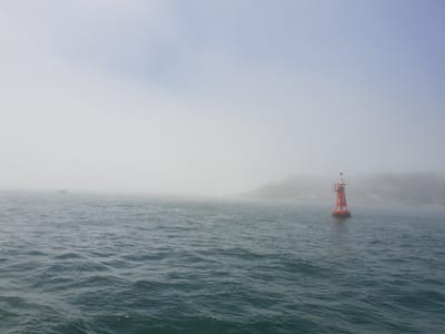 20181217_125655.jpg