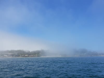 20181217_125719.jpg
