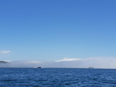 20181217_130433.jpg