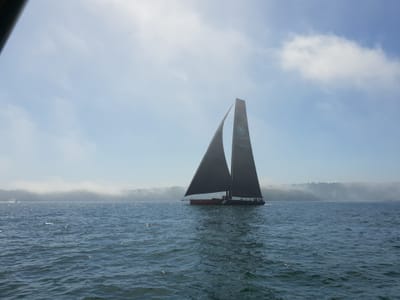 20181217_152038.jpg