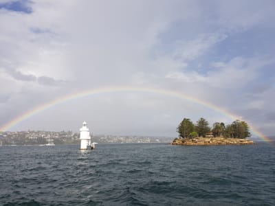 20180425_144916.jpg