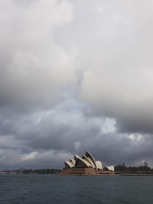 20180425_152646.jpg