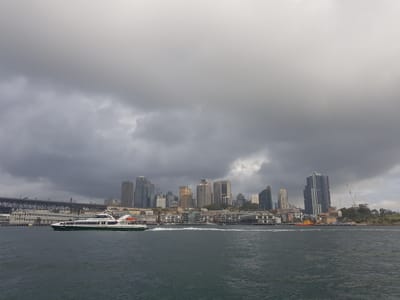 20180425_153256.jpg