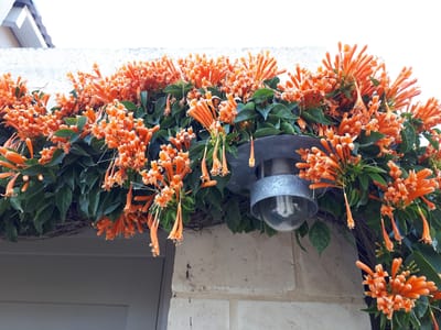 20180823_085029.jpg
