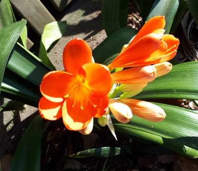 20180823_103846.jpg
