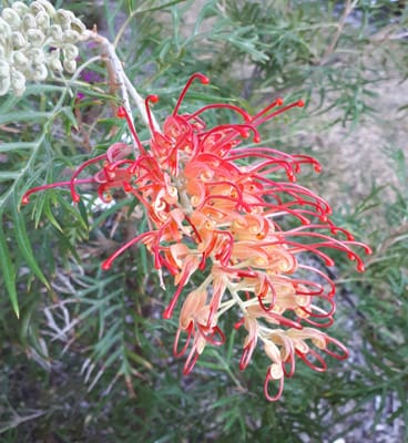 20180823_103918.jpg