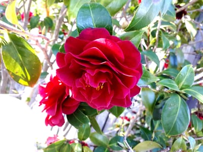 20180823_104438.jpg