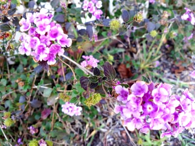 20180823_104459.jpg
