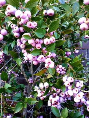 20180823_104646.jpg