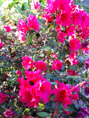 20180823_104706.jpg