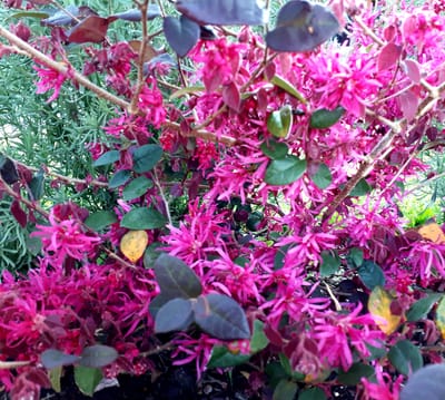 20180823_104758.jpg