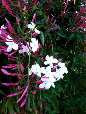 20180823_104922.jpg
