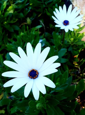 20180823_105119.jpg